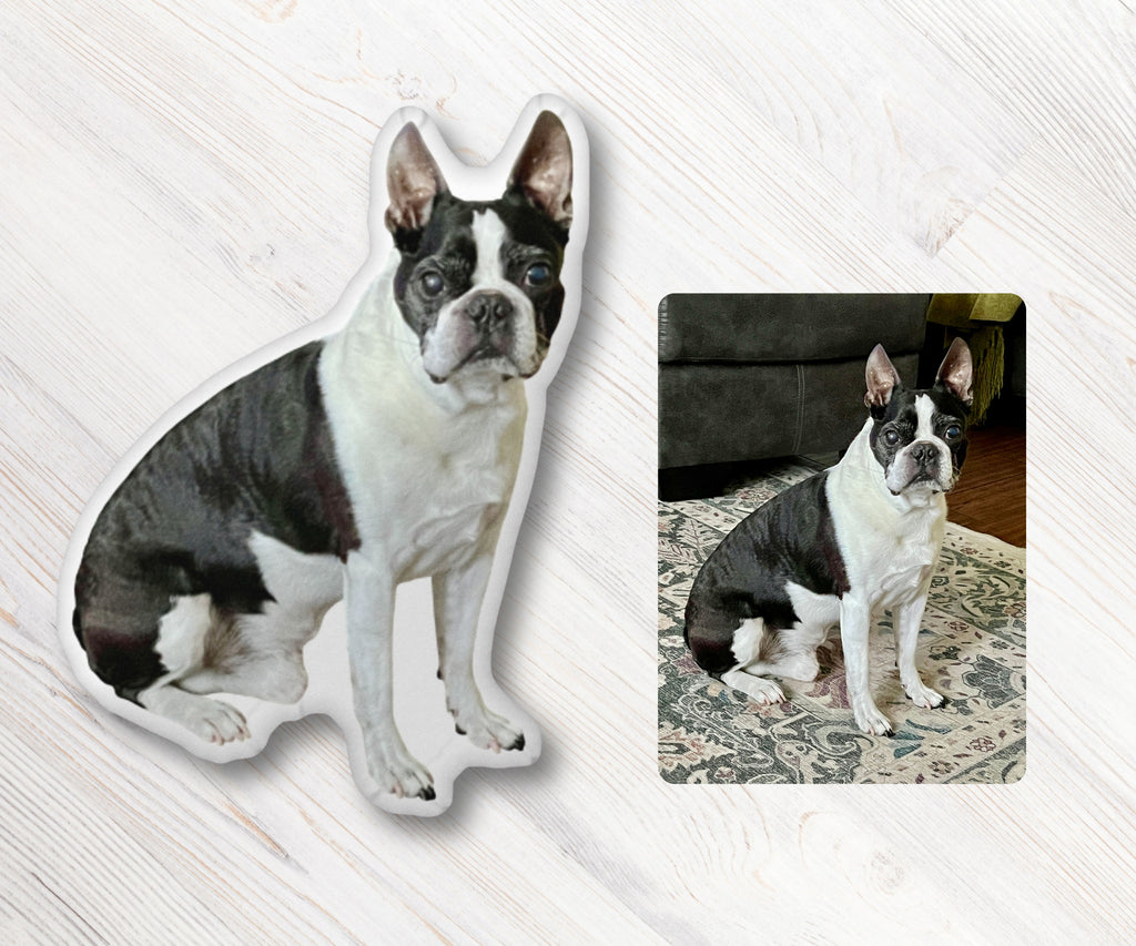Custom-Shaped Photo Pillow