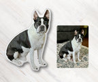 Custom-Shaped Photo Pillow