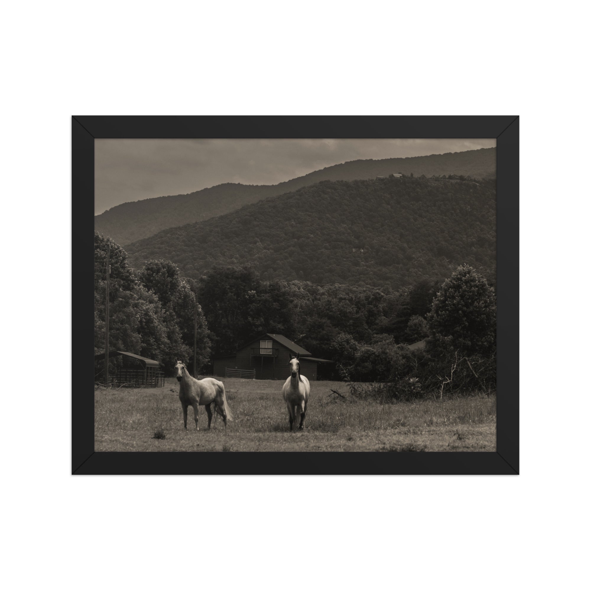 Twin Horses Black and White Framed Poster