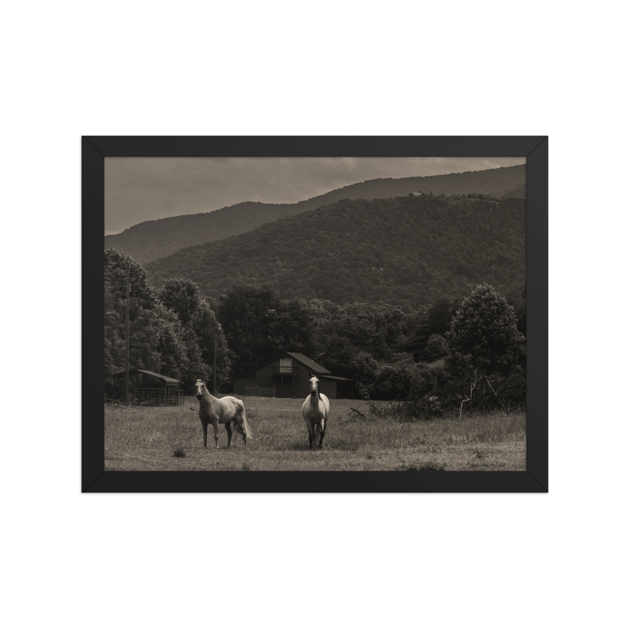 Twin Horses Black and White Framed Poster